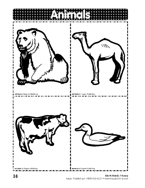 Kagan Australia