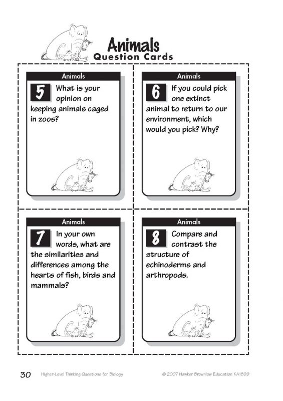 Kagan Australia