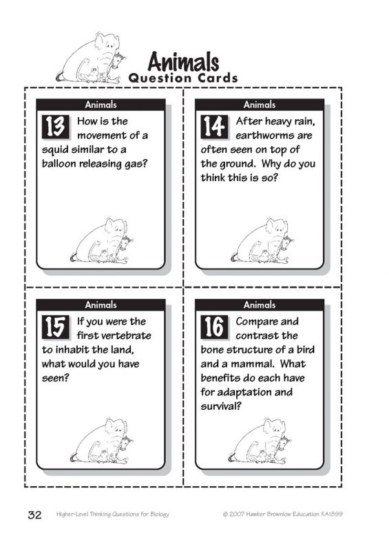 Kagan Australia